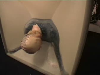 Alice In BondageLand - FemDom Fetish Movies - Rubber Encasement Bondage Pt 1 Vac Cube 3d Latex Vacuum Bed Alice In BondageLand - FemDom Fetish Movies - Rubber Encasement Bondage Pt 1 Vac Cube 3d Latex Vacuum Bed