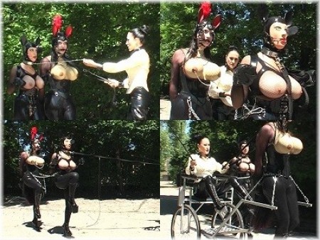 Ponysisters 2 - Now riding mistress bijou leads the ponysisters out of doors. At first she schools ponygirl jacline on the lunge and then ponygirl monica is trained. When the mistress is satisfied with their performances she put the horses before the sulky and urges them through the streets�